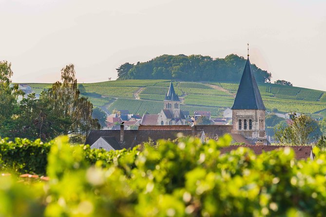 Private tour of the Champagne area, meet local producers and taste their Champagne, start from your hotel in Paris. - Leaving Paris for the vineyards