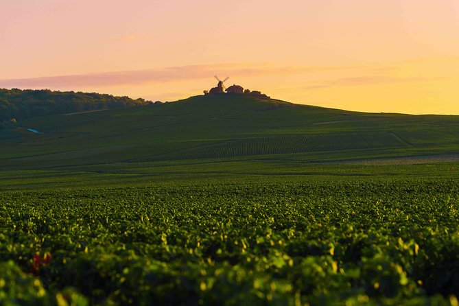 Private tour of the Champagne area, meet local producers and taste their Champagne, start from your hotel in Paris. - Hautvillers and the Marne Valley view