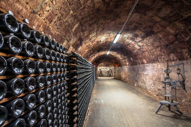Private tour of the Champagne area, meet local producers and taste their Champagne, start from your hotel in Paris. - A family cellar in Damery