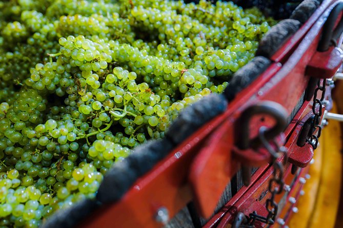 Private tour of the Champagne area, meet local producers and taste their Champagne, start from your hotel in Paris. - Who should book this Champagne day?