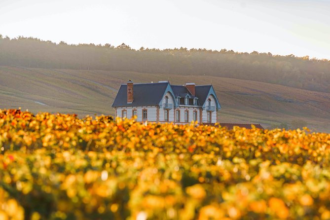 Private tour of the Champagne area, meet local producers and taste their Champagne, start from your hotel in Paris. - Épernay and the Avenue de Champagne