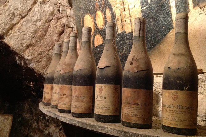 Private Wine Tasting Tour - Burgundy Uncorked!! - Santenay: six wines with the grower