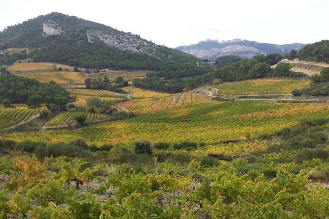 Provence Cru Wine Small-Group Half-Day Tour from Avignon - Three tastings, several styles of hospitality