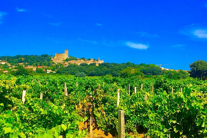 Provence Cru Wine Small-Group Half-Day Tour from Avignon - The Châteauneuf-du-Pape lesson: stones, clay, and ripe grapes