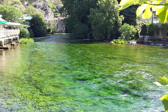 Provence Highlights Full-Day Tour from Avignon - Sénanque Abbey and the lavender calendar