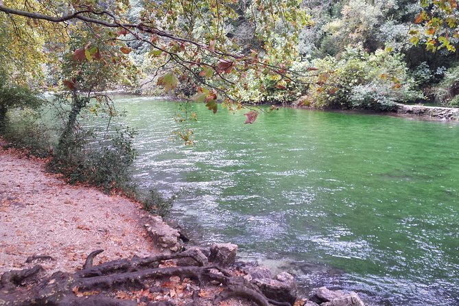 Provence Highlights Full-Day Tour from Avignon - Roussillon brings color and lunch