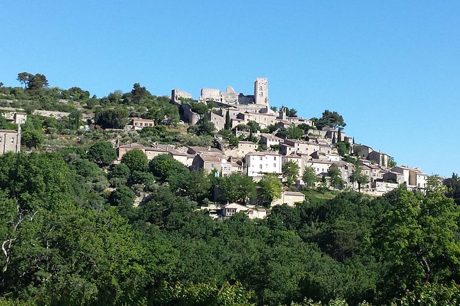 Provence Highlights Full-Day Tour from Avignon - Saint-Rémy-de-Provence, fountains and shaded squares