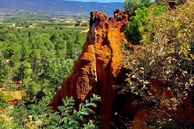 Provence Highlights Full-Day Tour from Avignon - Les Baux de Provence, a stone fortress above the Alpilles