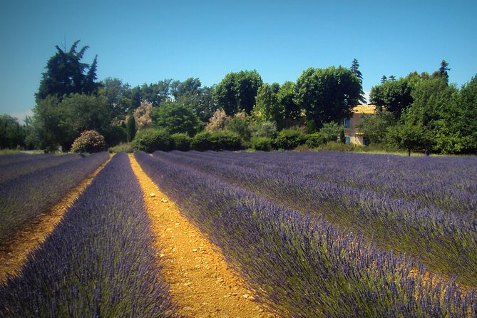 Provence Lavender Fields Tour from Aix-en-Provence - Moustiers-Sainte-Marie adds a storybook pause