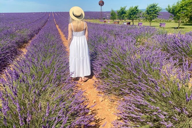 Provence Lavender Fields Tour from Aix-en-Provence - Valensole: the classic lavender outing
