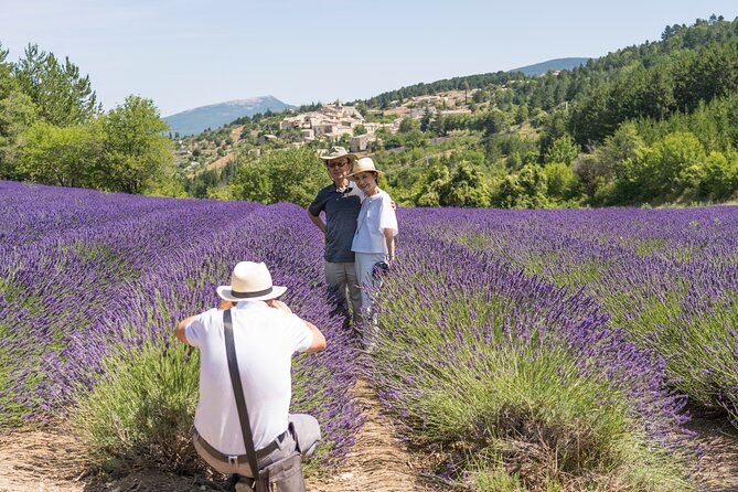 Provence Lavender Full Day Tour from Avignon - What This Avignon Lavender Tour Actually Delivers
