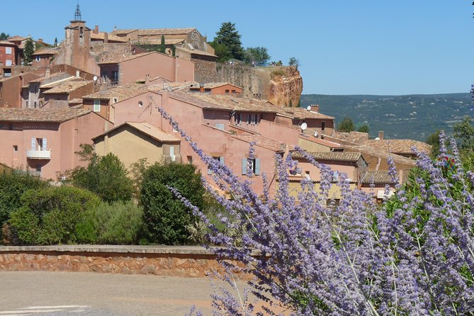 Provence Lavender Full Day Tour from Avignon - Guide Quality and Commentary