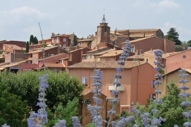 Provence Lavender Full Day Tour from Avignon - The Luberon Fields and the First Market Stop