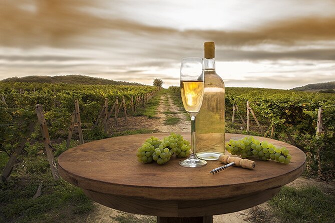 Provence Organic Wine Tasting Half Day Tour from Nice - Saint-Jeannet and the organic wine cellar