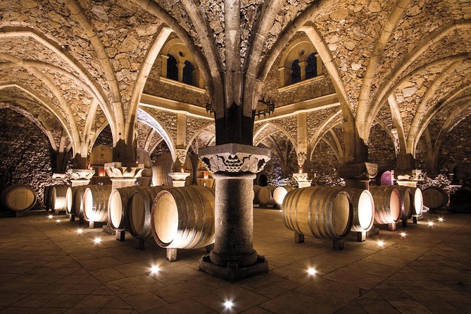 Provence Wine Tour - Private Day Tour from Nice - Leaving Nice for Provence’s wine country