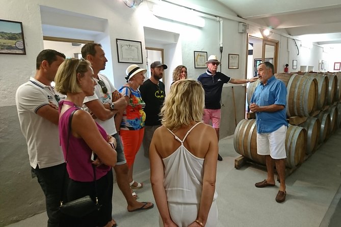 Provence Wine Tour - Private Day Tour from Nice - What the guides add to the day