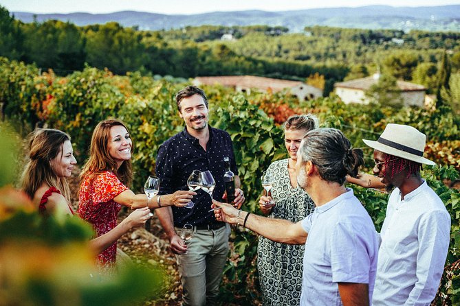 Provence Wine Tour - Private Day Tour from Nice - Château de Saint-Martin and a two-hour wine lesson