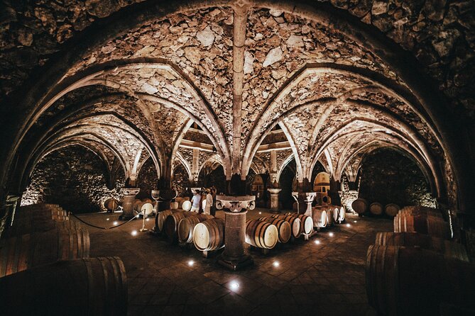 Provence Wine Tour - Small Group Tour from Nice - Lunch in a village or at a vineyard