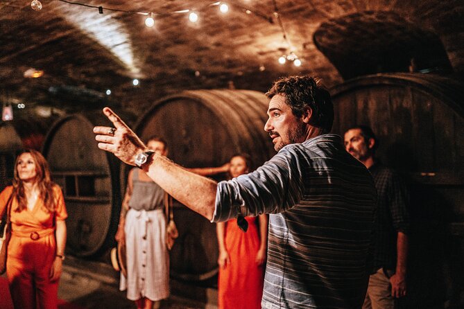 Provence Wine Tour - Small Group Tour from Nice - The guides are a major part of the value