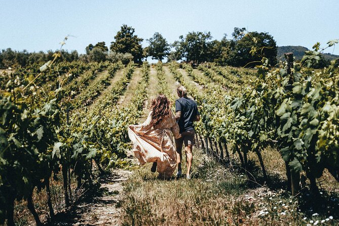 Provence Wine Tour - Small Group Tour from Nice - Who should book this day?