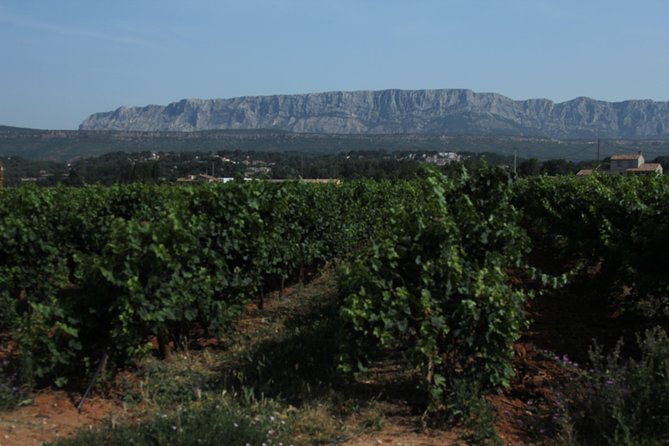 Provence Wineries and Luberon Villages Day Trip from Aix-en-Provence - Starting in Aix and heading toward Sainte-Victoire