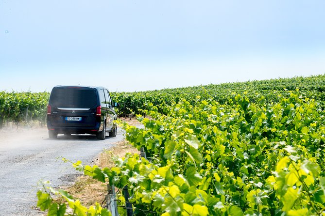 Reims afternoon tour Champagne and family growers - Is $151.16 good value?