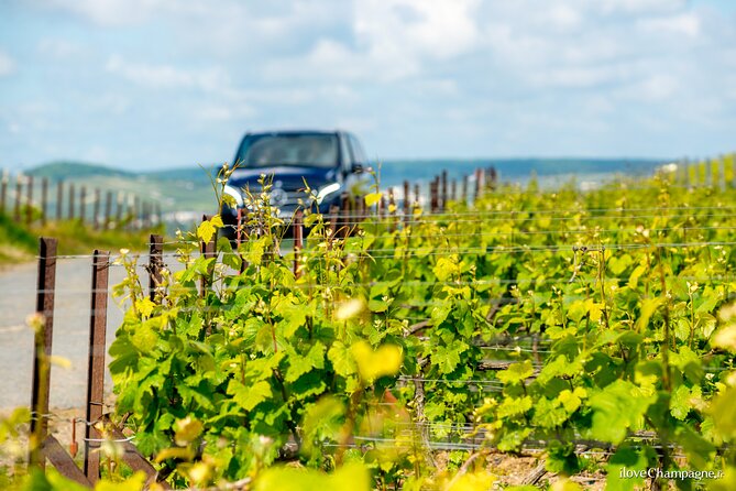 Reims or Epernay: Full day Champagne Mumm, family grower & lunch - Hautvillers and the Dom Pérignon connection