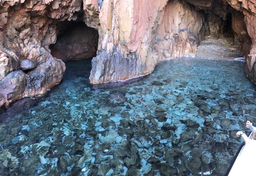 Sagone/Cargèse: Croisière Scandola, Piana, Girolata Baignade - The Gulf of Porto and the red cliffs of Piana
