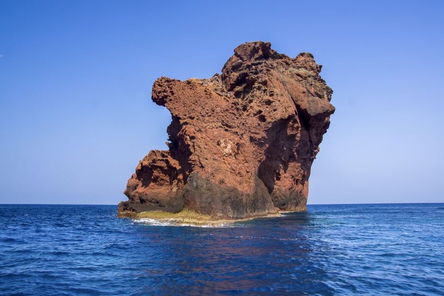 Sagone/Cargèse: Croisière Scandola, Piana, Girolata Baignade - Starting from Sagone or Cargèse