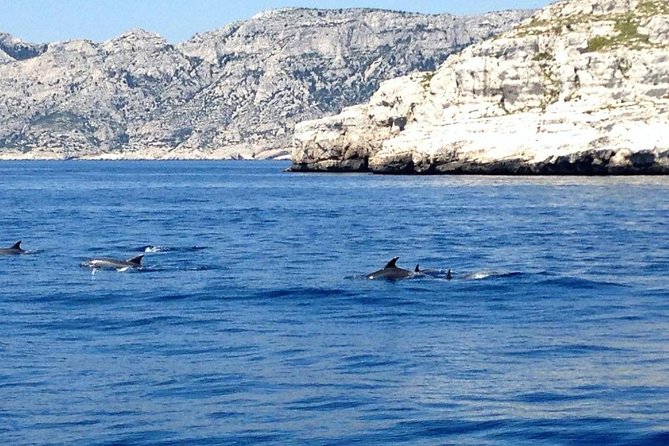 Sailing day in the heart of the Calanques - Ile de Frioul on the return route