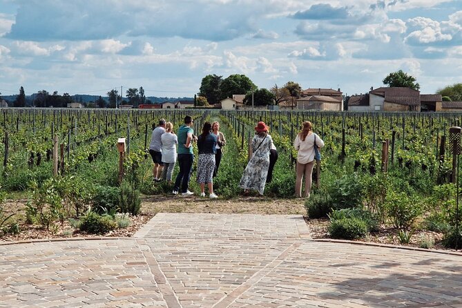 Saint-Emilion Afternoon Wine Tour - 2 Wineries & delicacies - Why This Half-Day Tour Works Well From Bordeaux