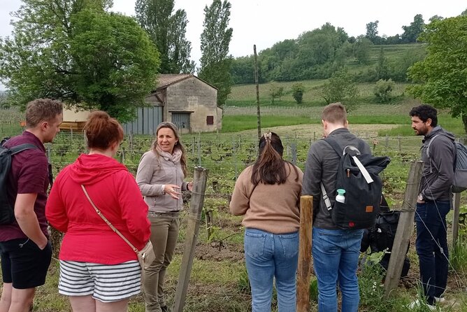 Saint-Emilion Afternoon Wine Tour - 2 Wineries & delicacies - Practical Details That Matter