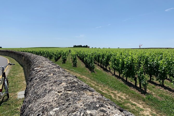 Saint-Emilion Afternoon Wine Tour - 2 Wineries & delicacies - The Ride Into Saint-Émilion Wine Country