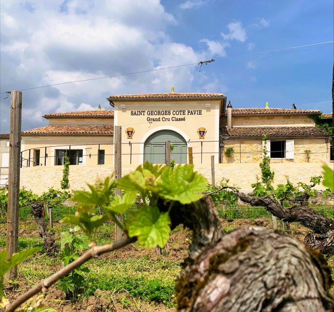 Saint-Émilion: Bordeaux Vineyard Tour and Wine Tasting - Pavie Hill and the role of the soil