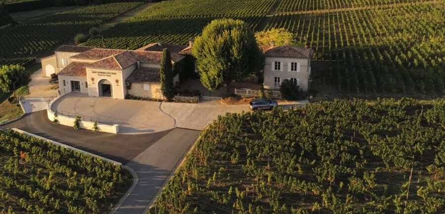Saint-Émilion: Bordeaux Vineyard Tour and Wine Tasting - Inside the cellar and winemaking areas