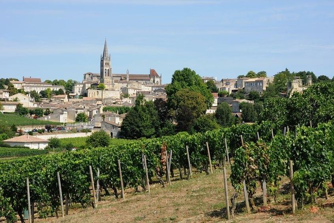 Saint-Émilion day tour: village visit, Châteaux and lunch - Who Will Enjoy This Tour Most
