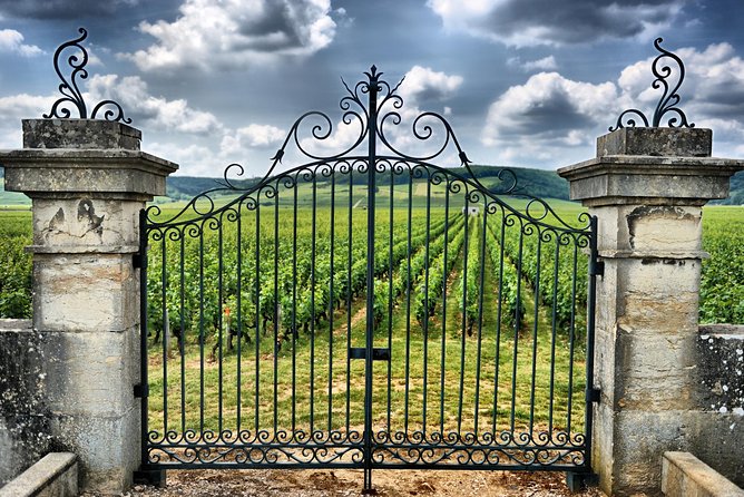 Saint Emilion Day Trip with Sightseeing Tour & Wine Tastings from Bordeaux - Who should book this Saint-Émilion tour?