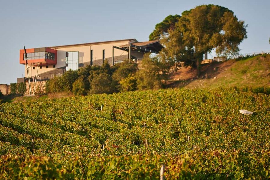 Saint-Emilion: Grand Cru Classé Gourmet Visit - Why this Saint-Émilion visit works so well