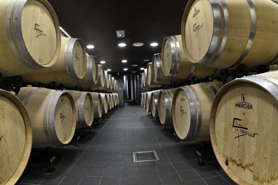 Saint-Émilion: Grand Cru Classé Winery Visit and Tasting - What you learn about Bordeaux wine