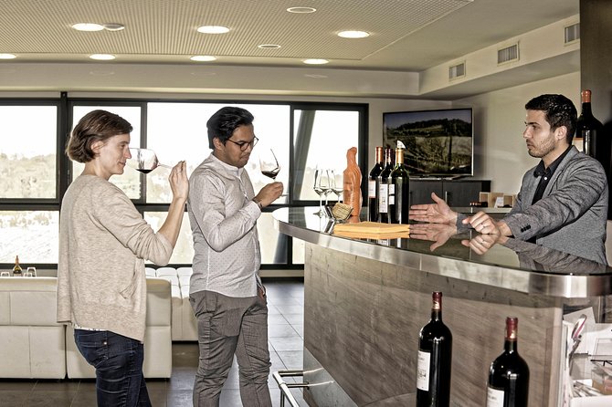 Saint-Emilion Grand Cru Classified: Visit & Tasting in French - Is $24.19 good value?