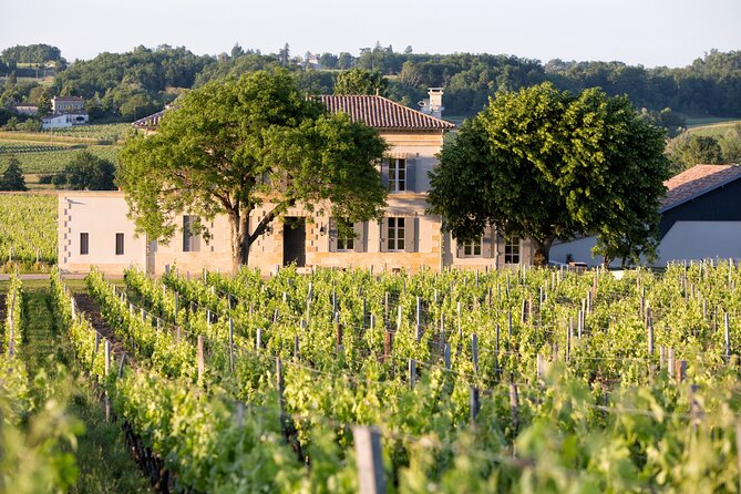 Saint Emilion Half-Day Trip with Wine Tasting & Winery Visit from Bordeaux - The guides can shape the whole afternoon