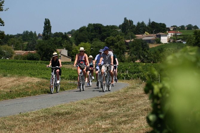 Saint-Emilion Small-Group Electric Bike Wine Tour Tastings & Lunch from Bordeaux - Is $228.66 a fair price?
