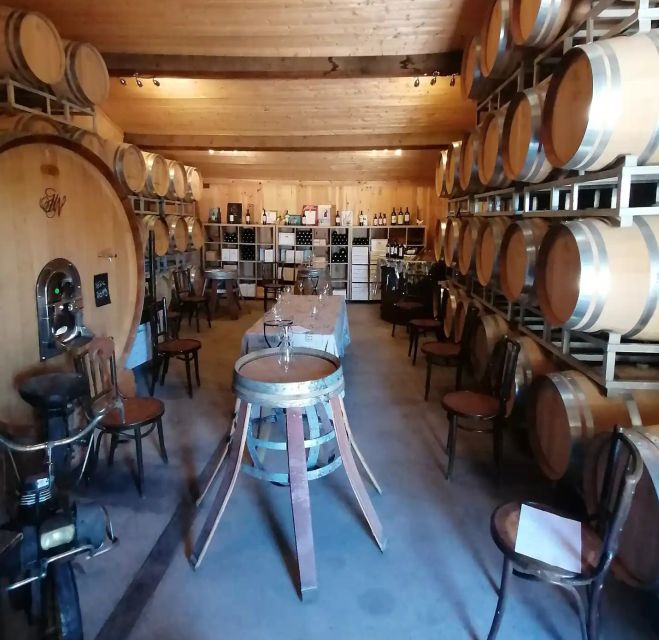 Saint-Émilion: Vineyard Walking Tour and Tasting - A family winery just outside Saint-Émilion