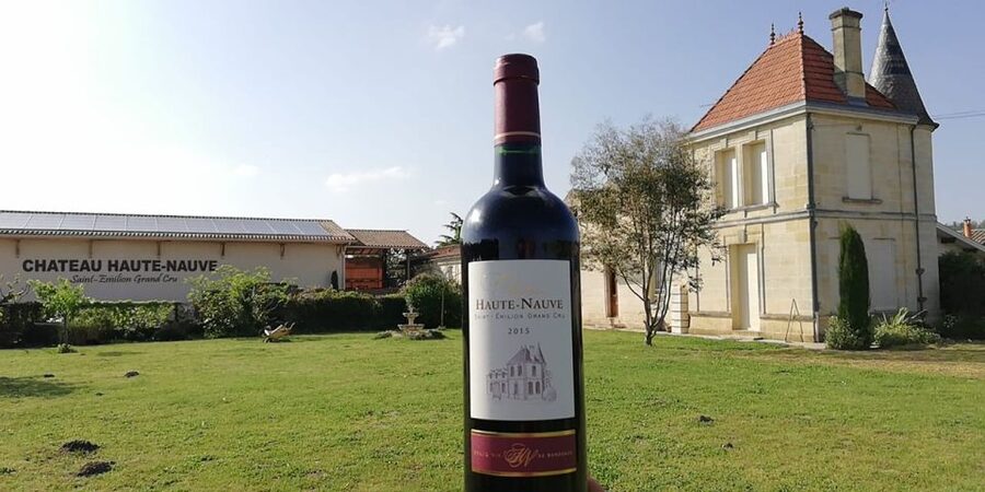Saint-Émilion: Vineyard Walking Tour and Tasting - From harvested grapes to fermentation tanks