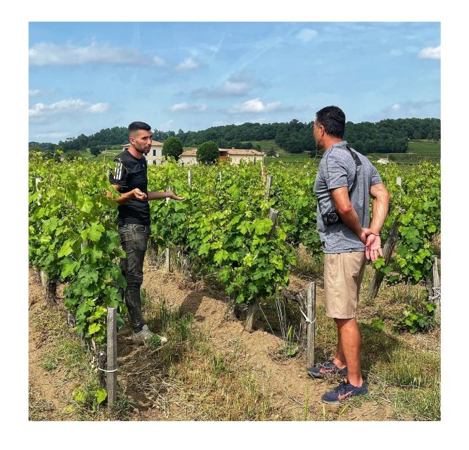 Saint-Émilion: Vineyard Walking Tour and Tasting - Who will enjoy Château Haute-Nauve most?