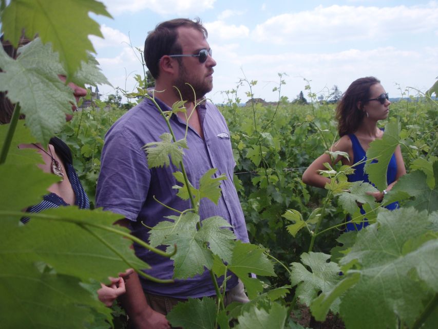 Saint-Émilion: Vineyard Walking Tour and Tasting - Walking among the Saint-Émilion vines