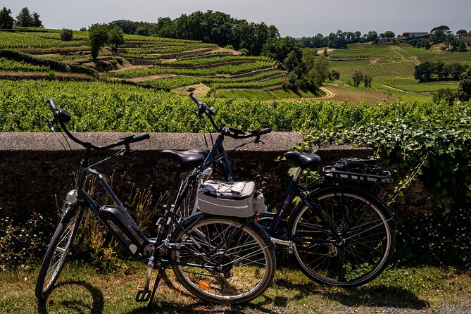 Saint-Émilion Wine Tour By Premium Electric Bike, Lunch Included - Key points to know before booking