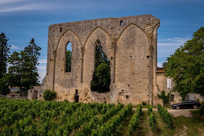 Saint-Émilion Wine Tour By Premium Electric Bike, Lunch Included - Garden lunch with French food and wine