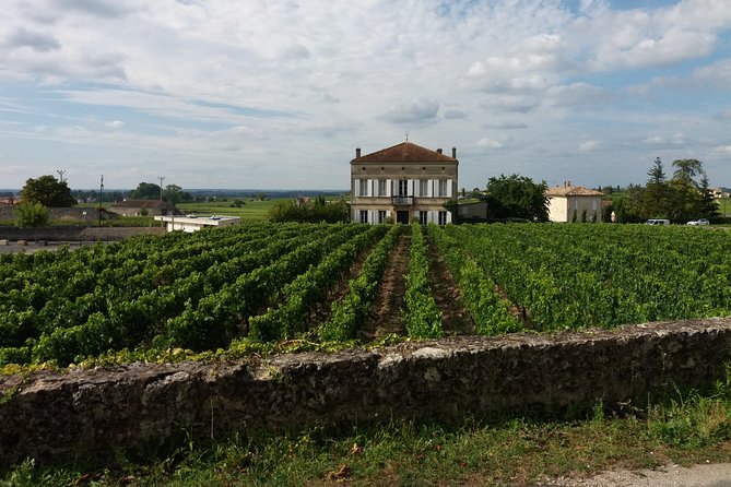 Saint Emilion Wine Tour Tasting Half Day from Bordeaux - First winery: a Grand Cru Classé introduction