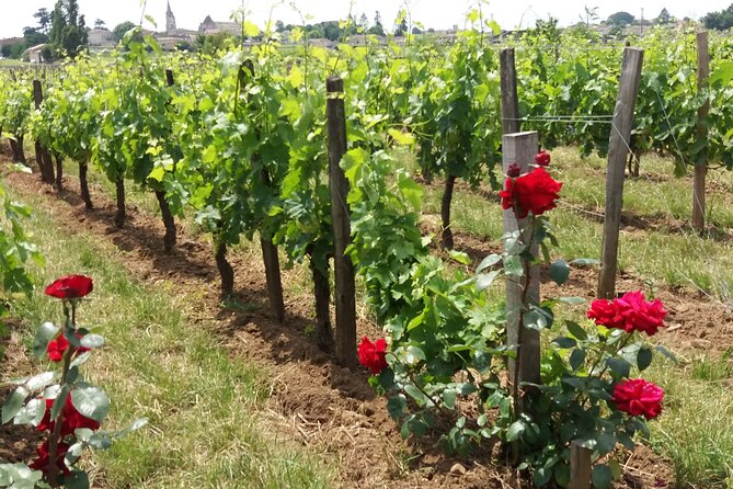Saint Emilion Wine Tour Tasting Half Day from Bordeaux - One hour in the UNESCO-listed village